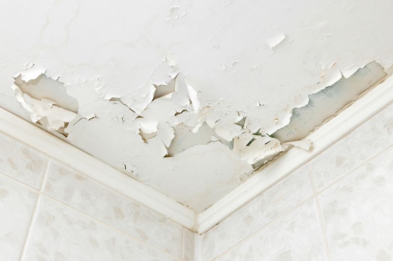 Inside Ceiling Damage