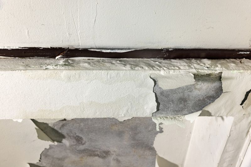 Leaking Ceiling Repair