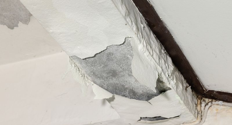 Leaking Ceiling Repair