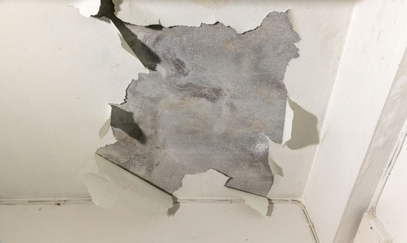 Leaking Ceiling Repair