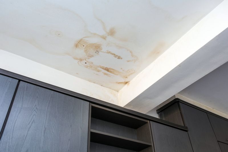 Ceiling Leak Detection