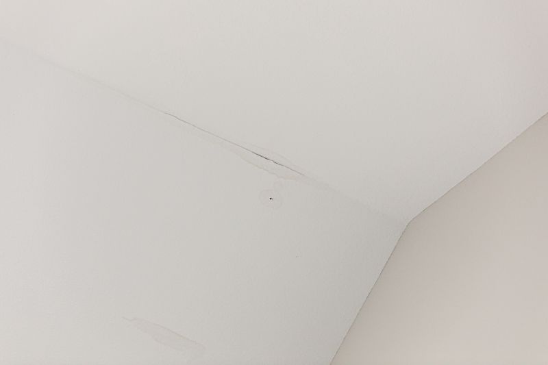 Products For Leaking Ceiling Repairs in use
